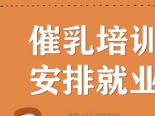 專業(yè)乳房保健與產后康復 成都圖催乳師公司一站式服務解決方案